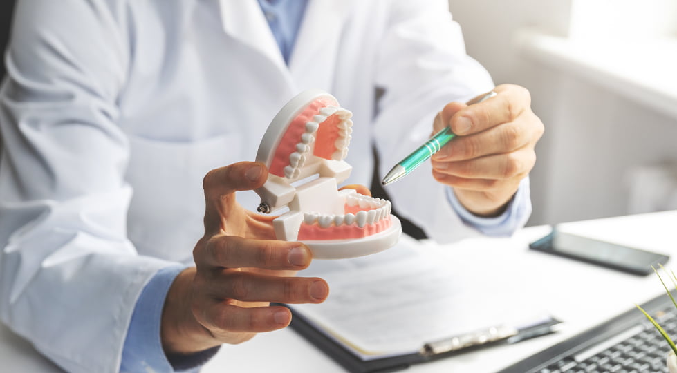 (image) dentiste qui montre la dentition d'un modèle plastique